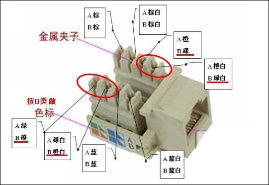 網(wǎng)線插座