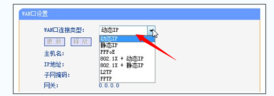 選擇動(dòng)態(tài)IP