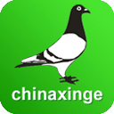 中國信鴿信息網手機版