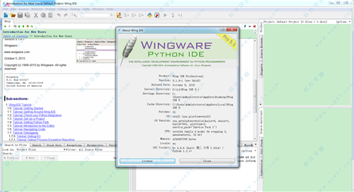 wing ide 5