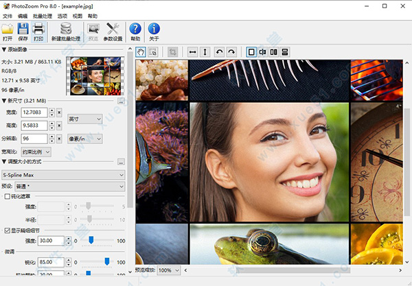 PhotoZoom Pro 8.0