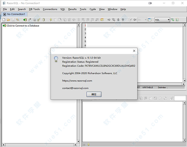 Richardson RazorSQL 9破解版