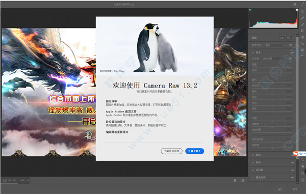 camera raw 13.2